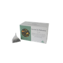 Eternité de Philomène infusette